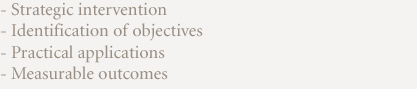 Strategic intervention, Identification of objectives, Practical applications and measurable outcomes